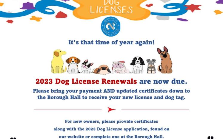 2023 Dog Licenses
