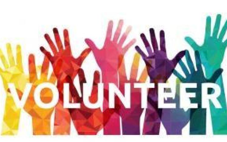 Hands Raised to Volunteer